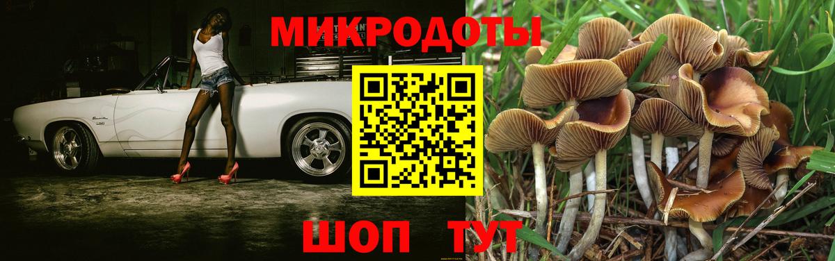 наркота  Вход с VPN  Бердск  Псилоцибиновые грибы Psilocybe 