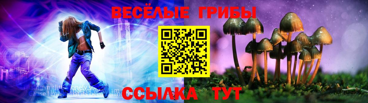 Галлюциногенные грибы GOLDEN TEACHER Бердск